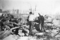 Farm work. Chopping wood